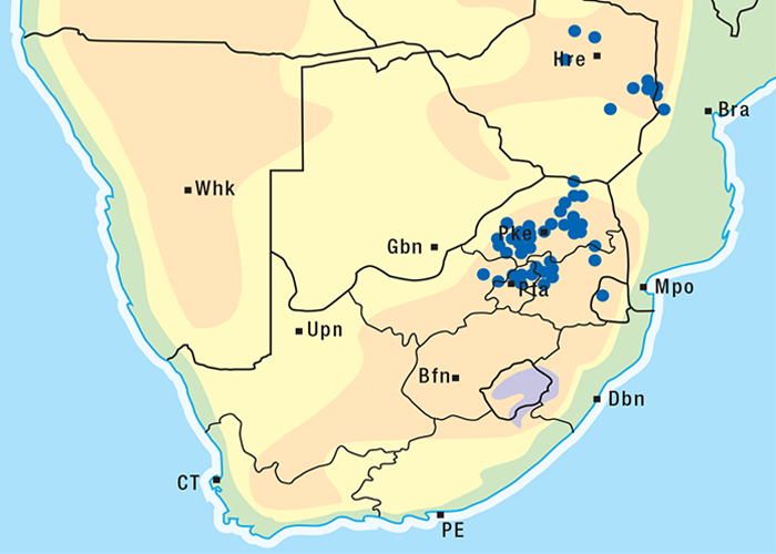 Cardiovascular system