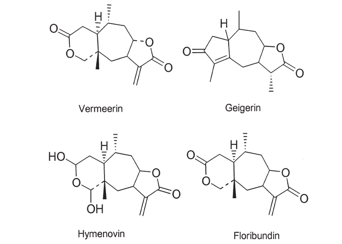 Gastrointestinal tract