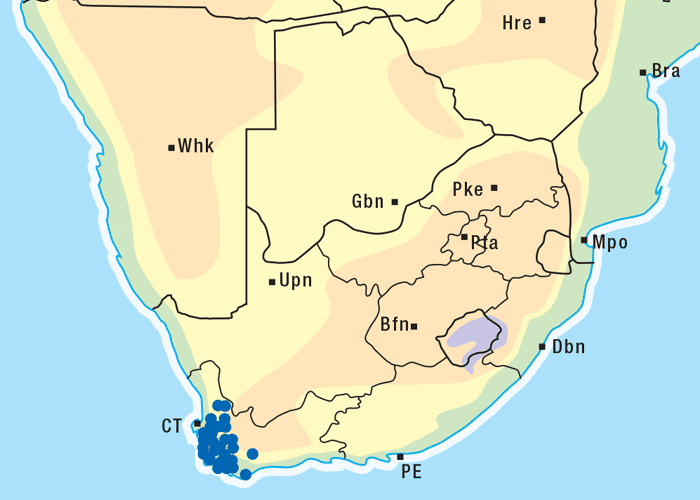 Gastrointestinal tract