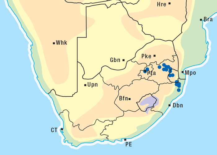 Gastrointestinal tract