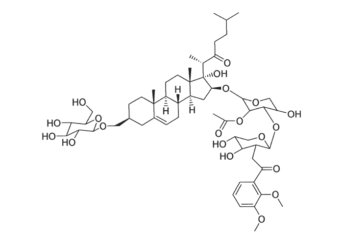 Gastrointestinal tract