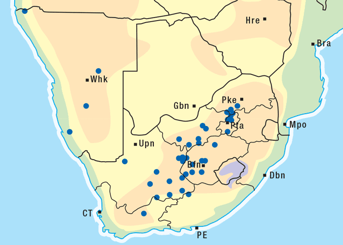 Gastrointestinal tract