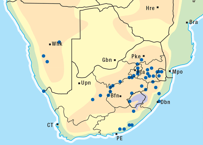 Gastrointestinal tract