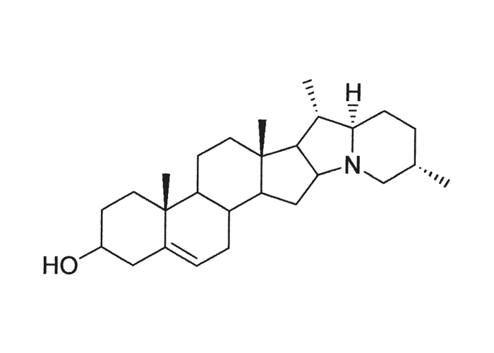 Gastrointestinal tract