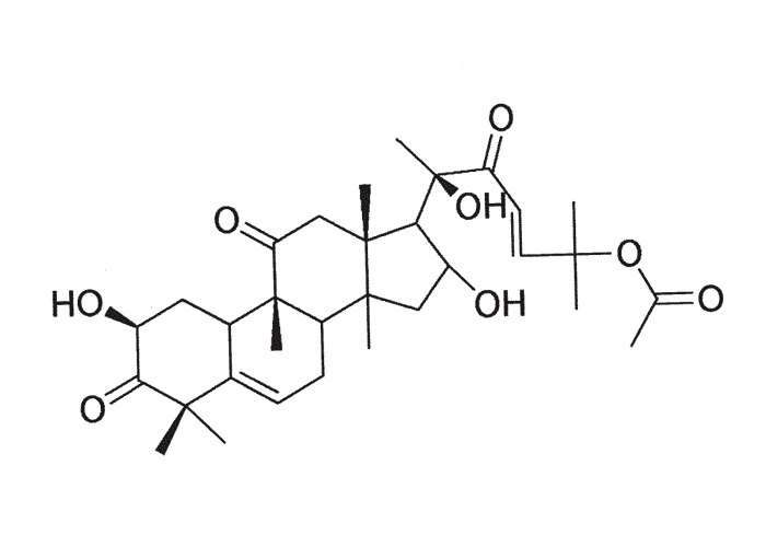 Gastrointestinal tract