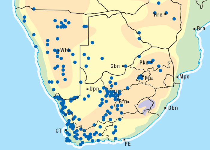 Gastrointestinal tract