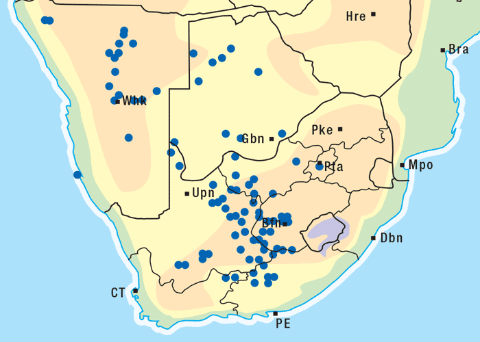 Gastrointestinal tract