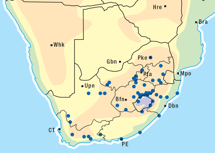 Gastrointestinal tract