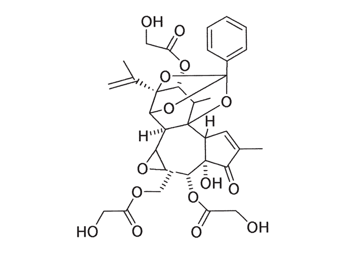 Gastrointestinal tract