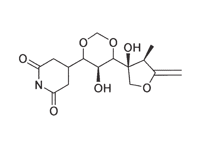 Gastrointestinal tract