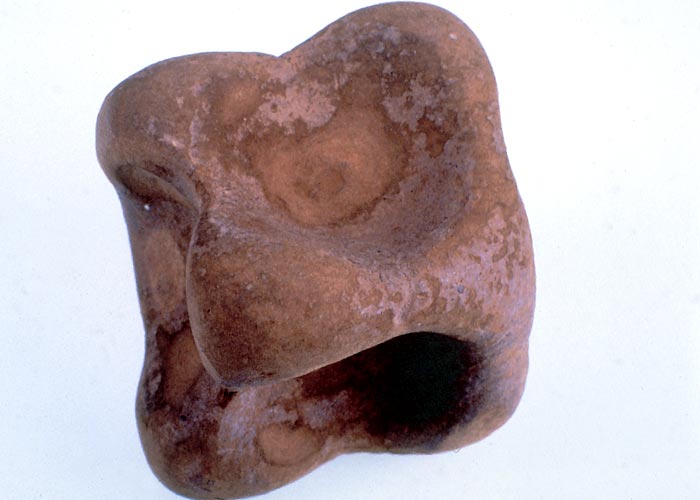 Gastrointestinal tract