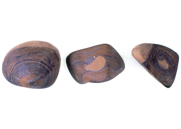 Gastrointestinal tract