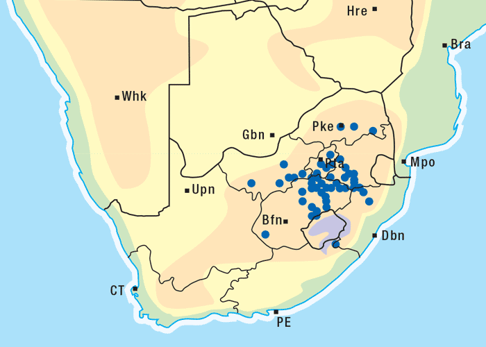 Gastrointestinal tract