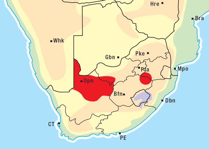 Gastrointestinal tract