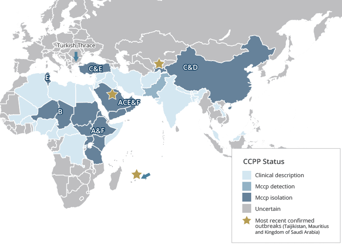 Contagious caprine pleuropneumonia